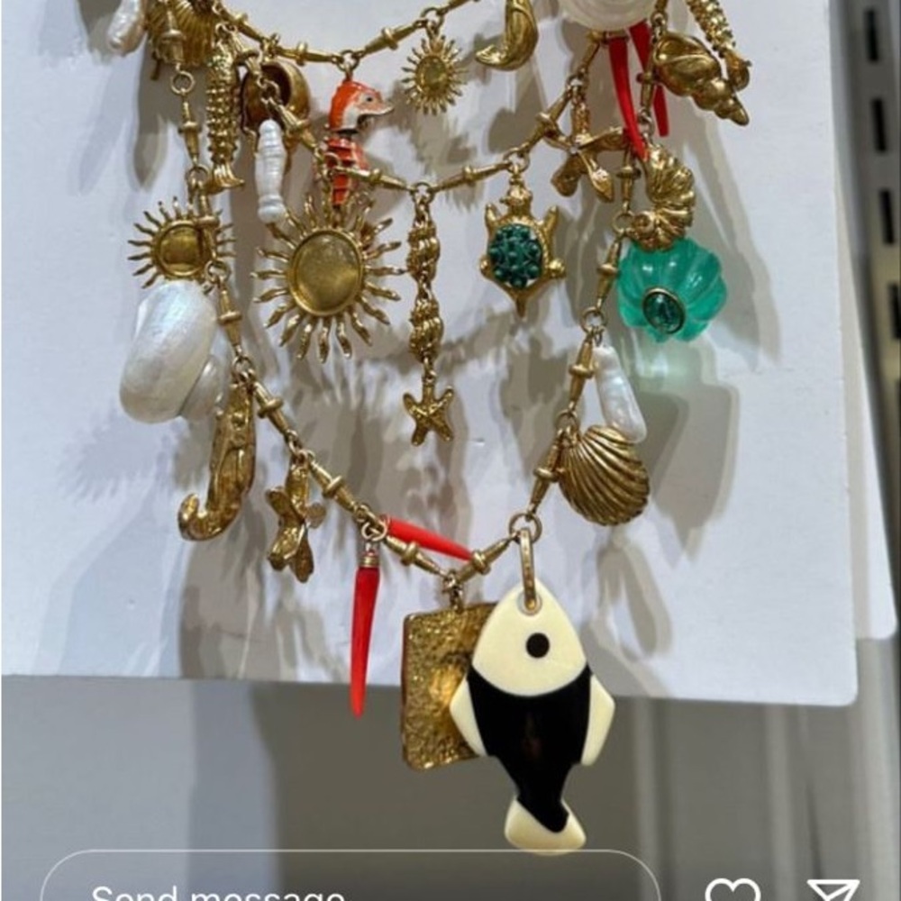 ISO the Zara Sea Charm Necklace! Please Message me if you are Selling